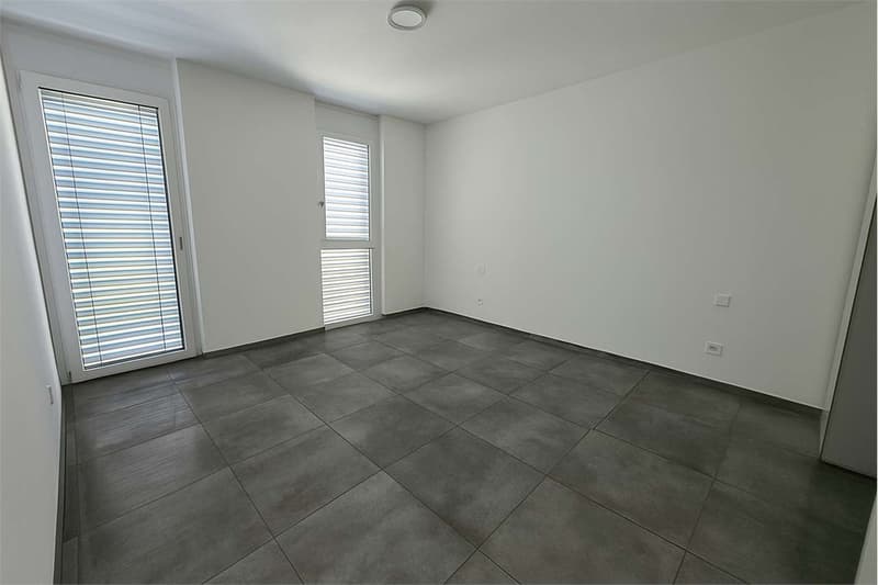 Appartamento 3.5 locali con terrazzo (10)