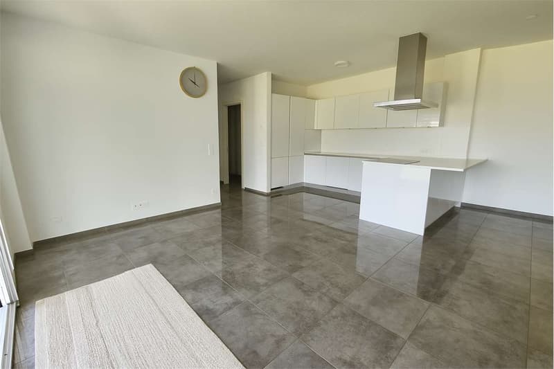 Appartamento 3.5 locali con terrazzo (5)