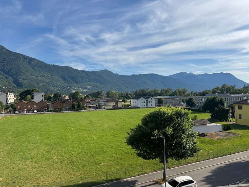 Appartamento 3.5 locali con terrazzo (2)