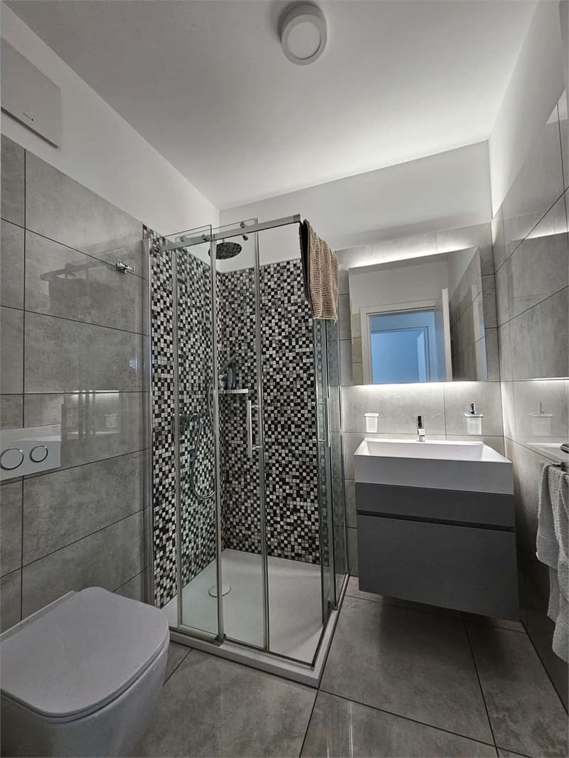 Appartamento 3.5 locali con terrazzo (7)