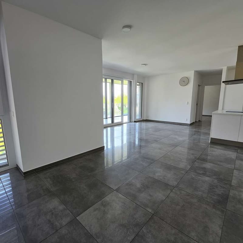 Appartamento 3.5 locali con terrazzo (6)