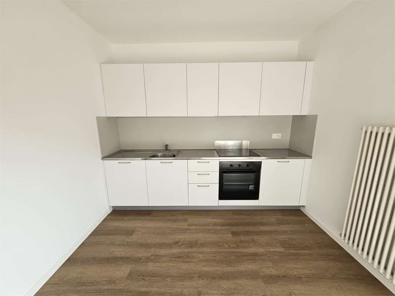 Chiasso, affitto ottimo 3.5 locali (4)