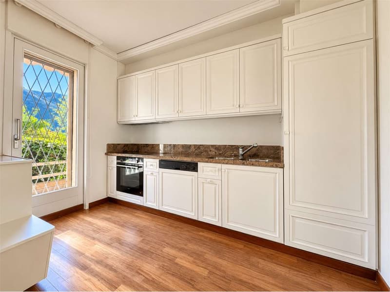 Appartamento vista lago con giardino (6)