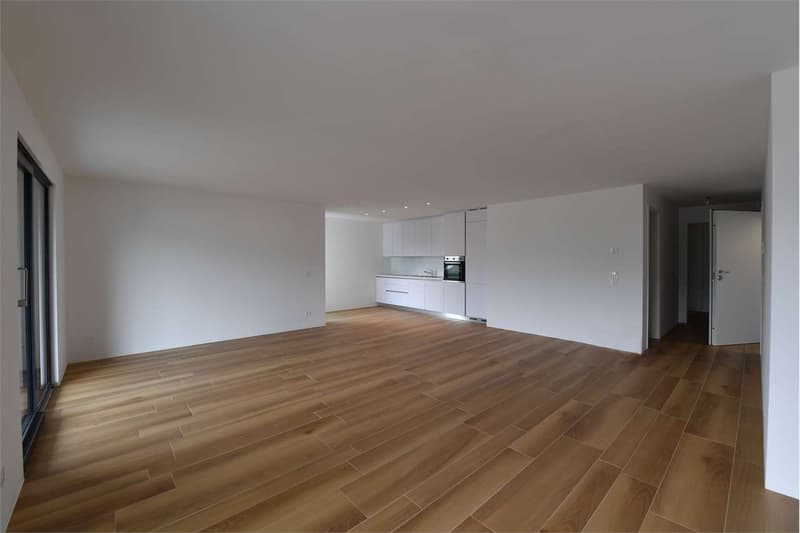 Vacallo, appartement 4,5 pièces avec terrasse (2)