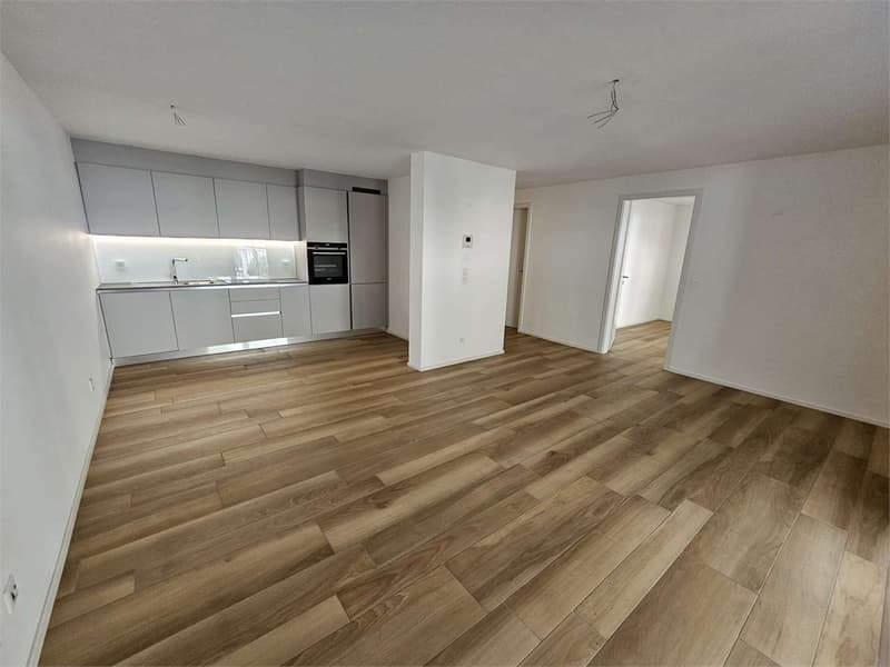 Gudo, 2.5-room apartment with terrace (4)