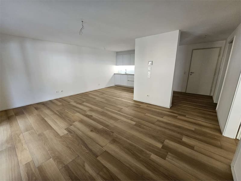 Gudo, 2.5-room apartment with terrace (3)