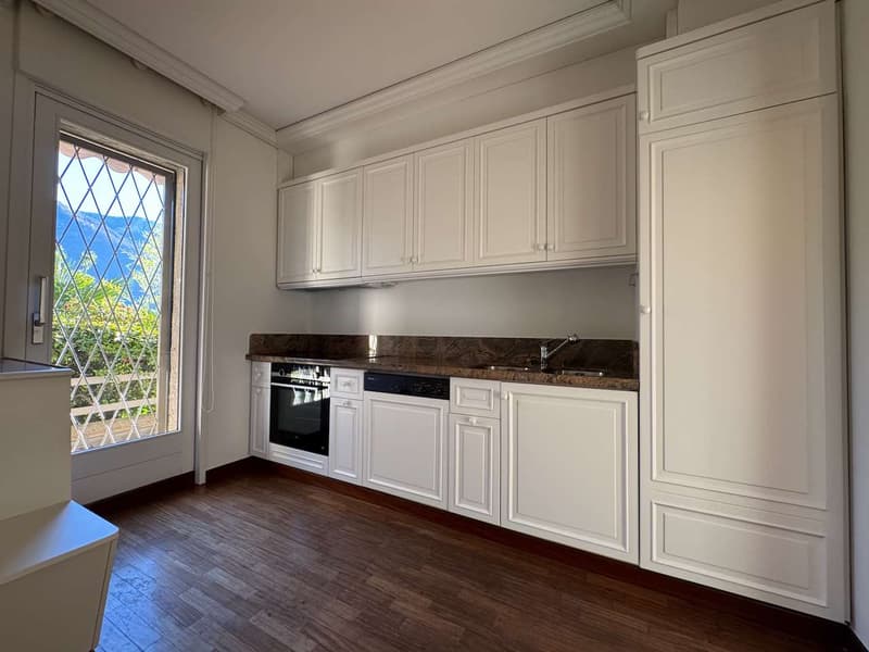 Appartamento vacanze con vista lago e giardino (7)