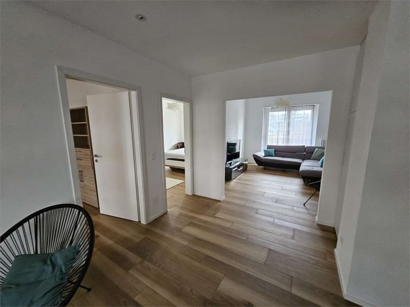 Location 3,5 pièces rénové meublé (2)