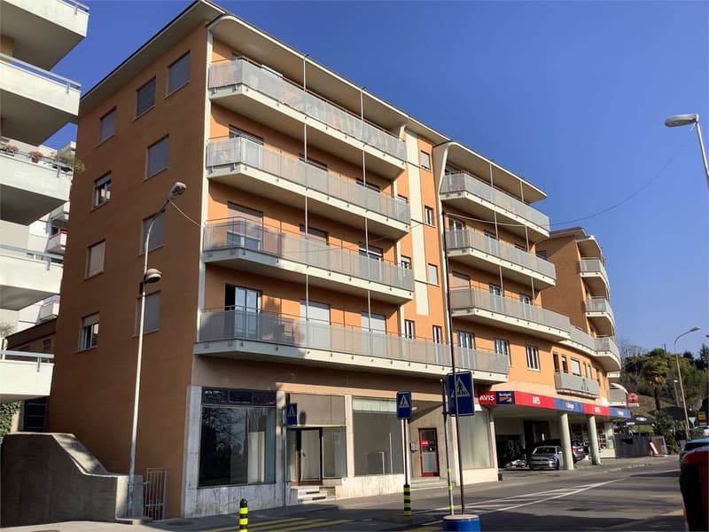 Location 3,5 pièces rénové meublé (13)