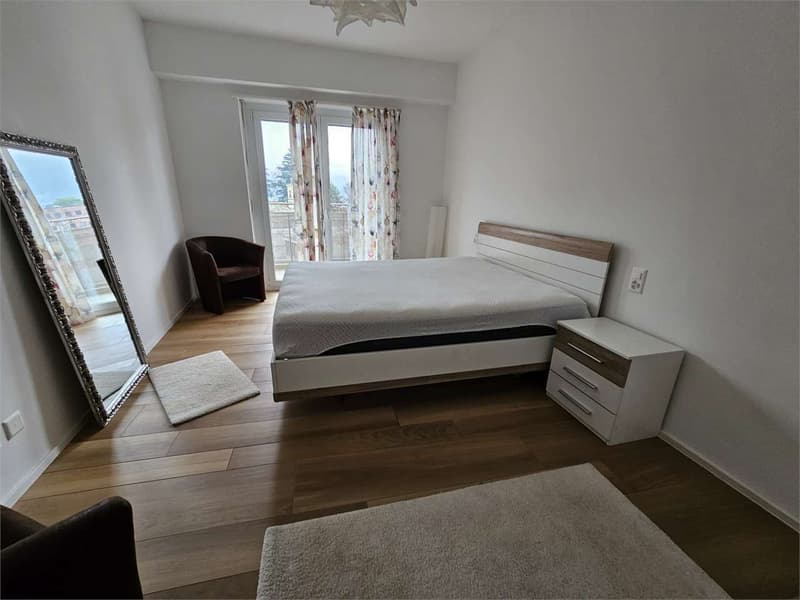 Location 3,5 pièces rénové meublé (8)
