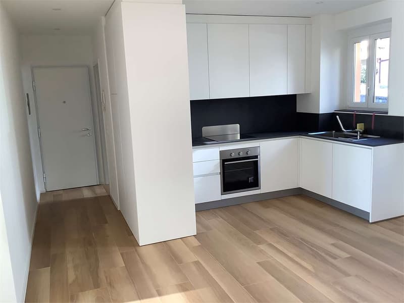 Location 3,5 pièces rénové meublé (5)