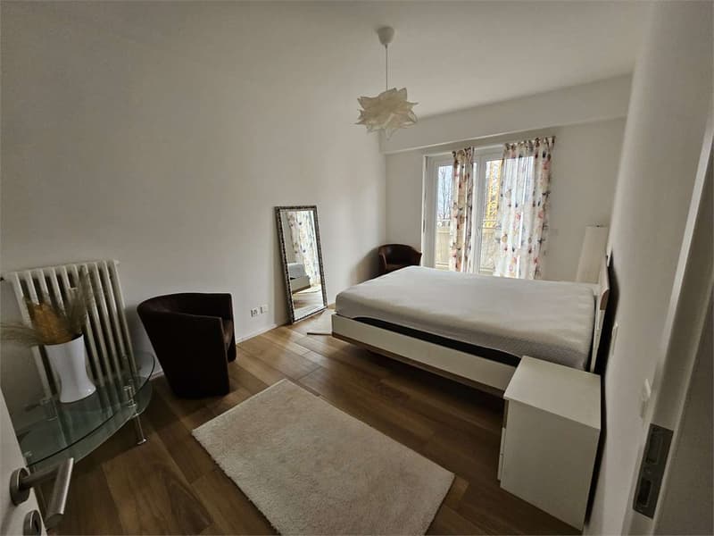Location 3,5 pièces rénové meublé (6)
