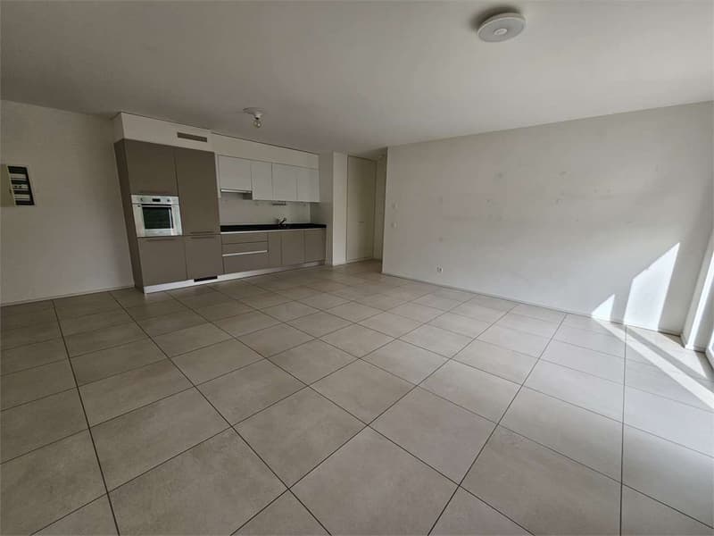 Iragna, affitto 2.5 locali piano terra con giardino privato (6)
