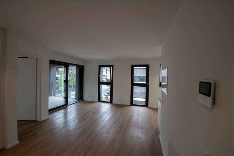 Mendrisio, rental apartment 4.5 rooms with garden (3)