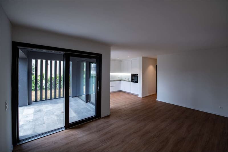 Mendrisio, rental apartment 4.5 rooms with garden (2)