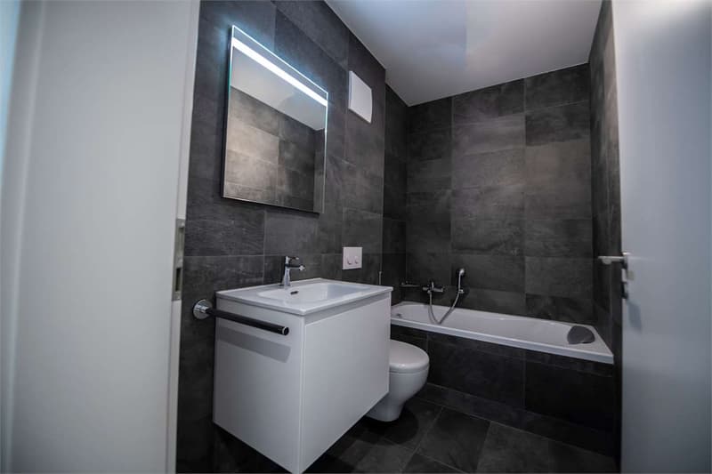 Mendrisio, rental apartment 4.5 rooms with garden (8)