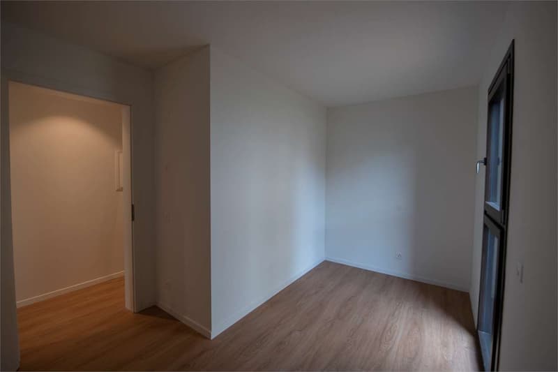 Mendrisio, rental apartment 4.5 rooms with garden (6)
