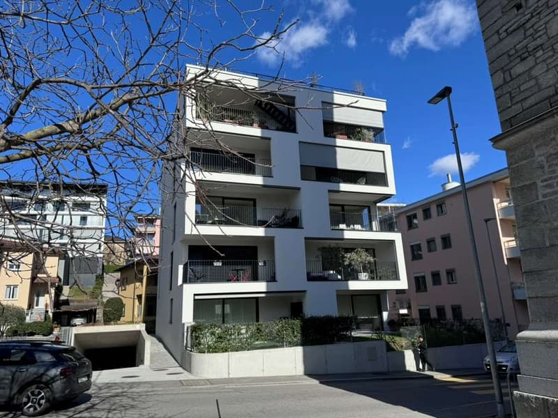 Moderno 2.5 con giardino (1)