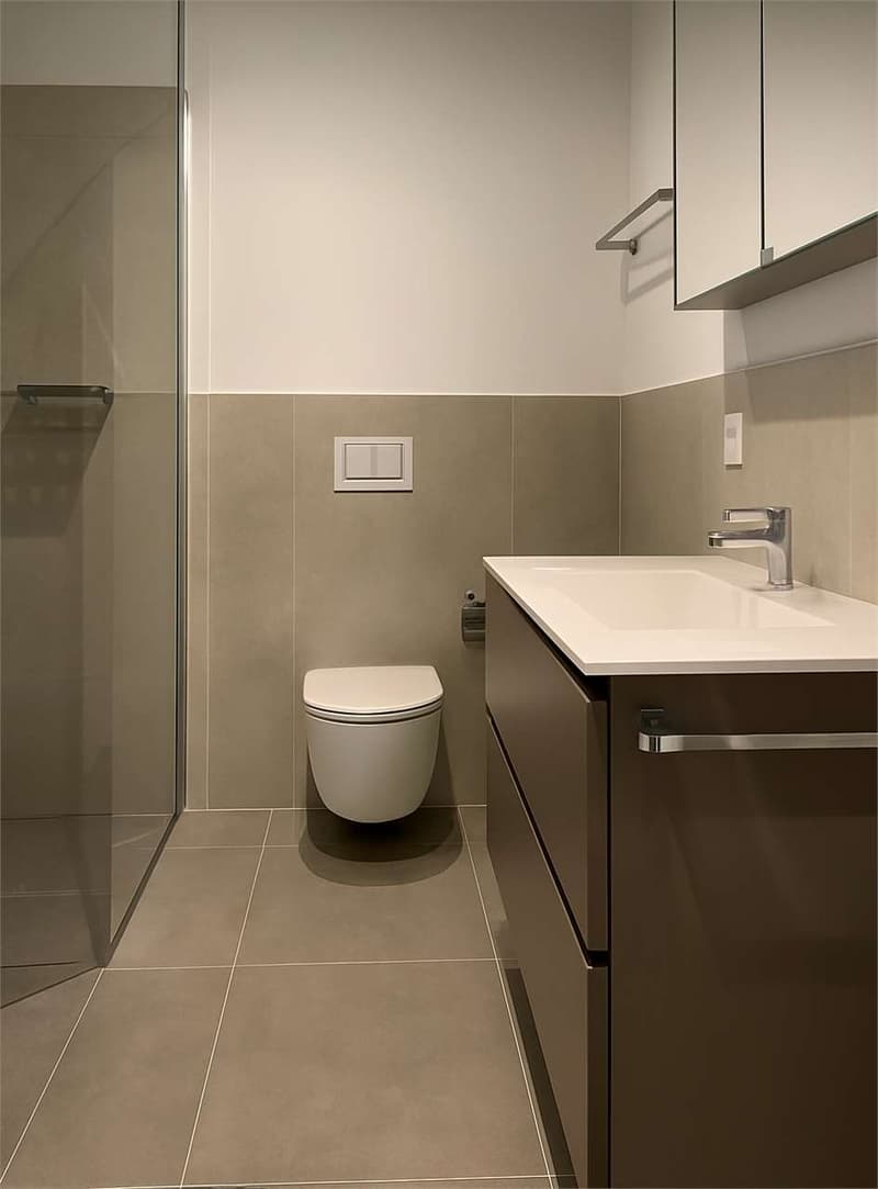Moderno 2.5 con giardino (5)