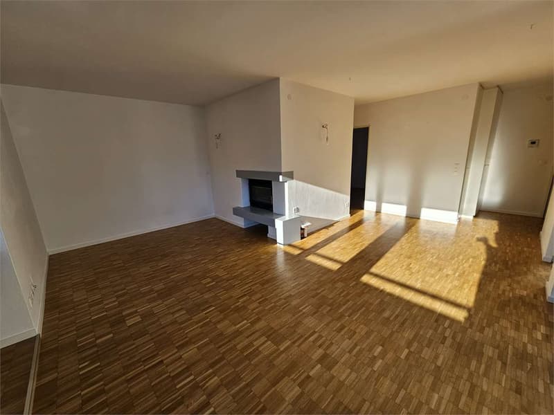 Lugano Paradiso, appartement 2.5 pièces avec vue sur le lac à louer (5)