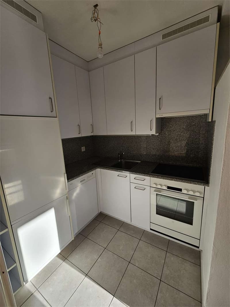 Lugano Paradiso, appartement 2.5 pièces avec vue sur le lac à louer (8)