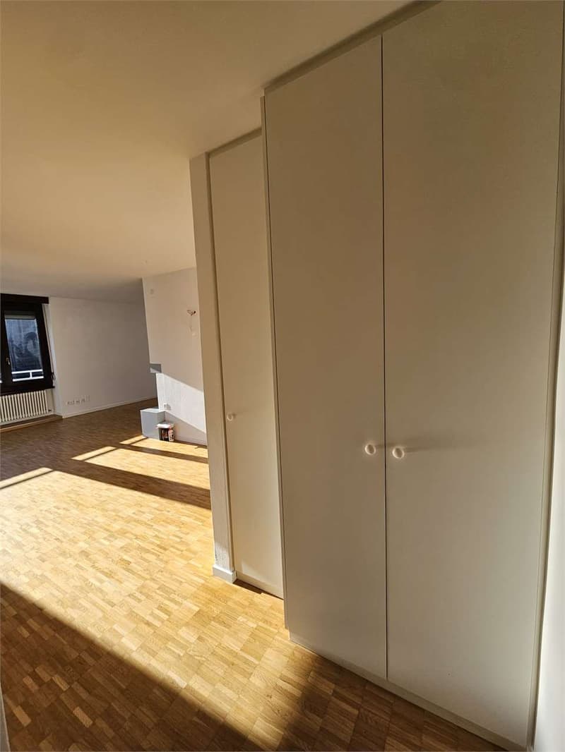 Lugano Paradiso, appartement 2.5 pièces avec vue sur le lac à louer (7)