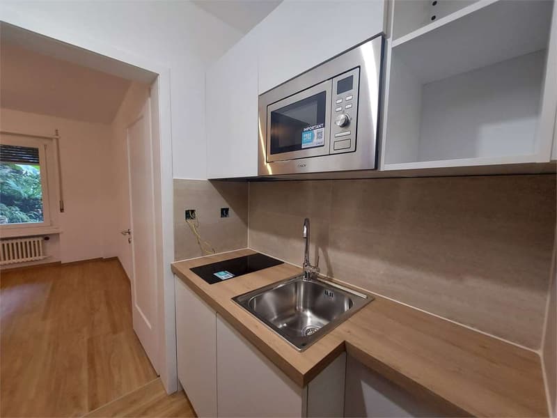 Lugano, 1.5 Zimmer zur Miete (5)