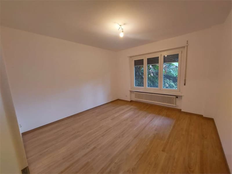 Lugano, 1.5 Zimmer zur Miete (4)