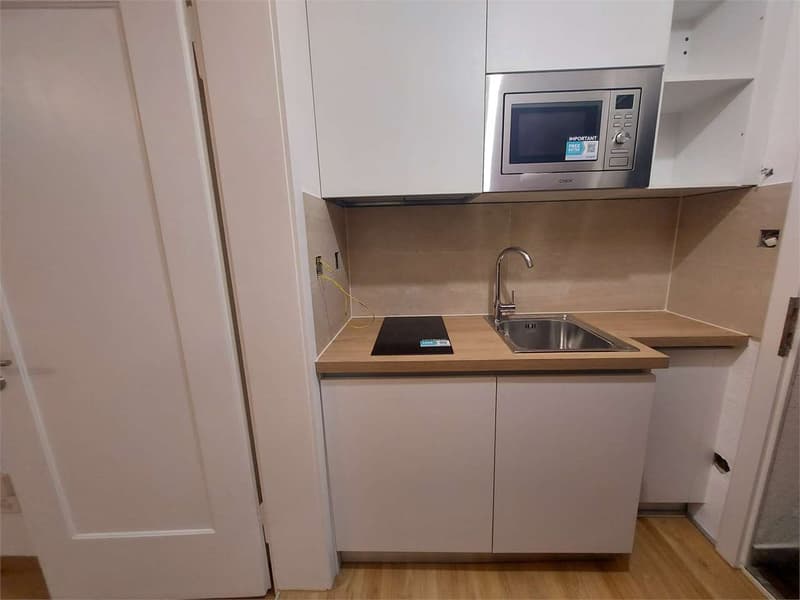 Lugano, 1.5 Zimmer zur Miete (6)