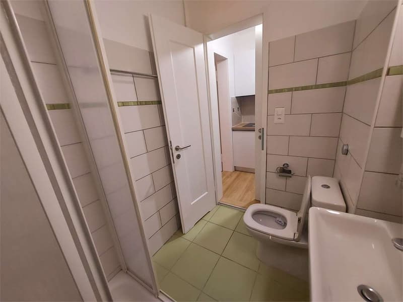Lugano, 1.5 Zimmer zur Miete (7)