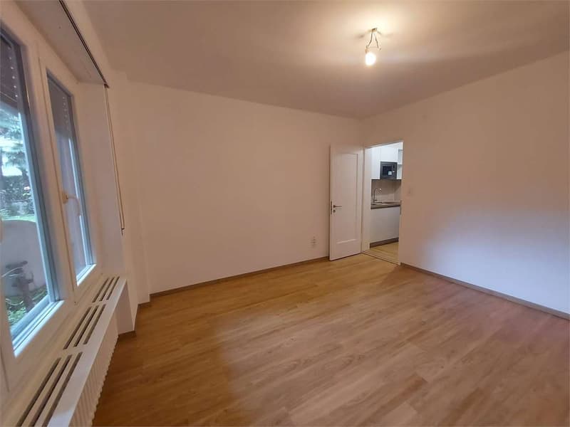 Lugano, 1.5 Zimmer zur Miete (2)