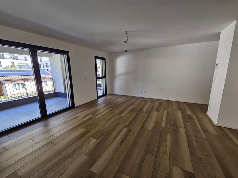 Gudo, affitto 2.5 locali con terrazzo (3)