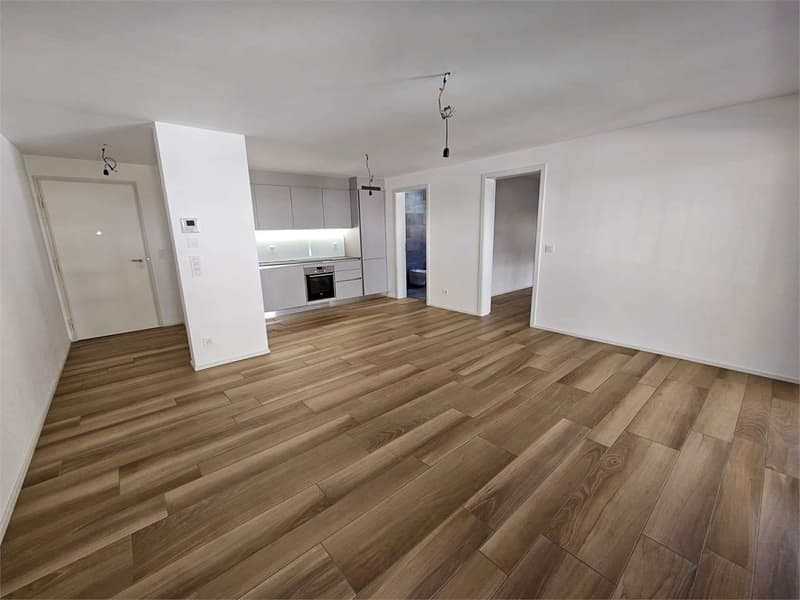 Gudo, affitto 2.5 locali con terrazzo (2)