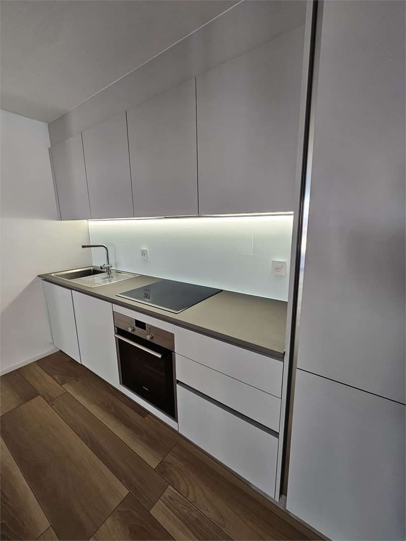 Gudo, affitto 2.5 locali con terrazzo (10)