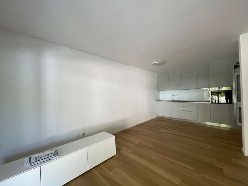 Gudo, 2.5-Zimmer-Wohnung mit Terrasse (2)