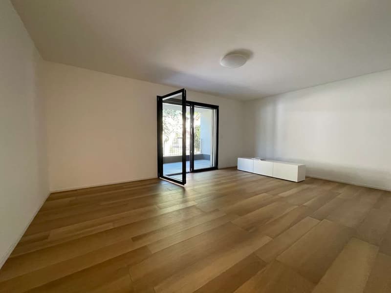 Gudo, 2.5-Zimmer-Wohnung mit Terrasse (3)