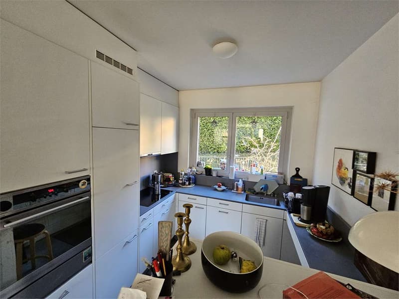 Lugano, spacious 4.5-room apartment with private garden (5)