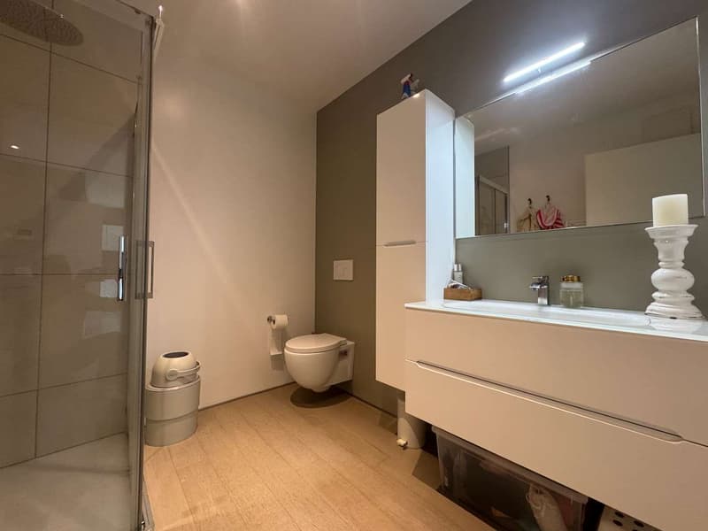 Angenehme Wohnung in guter Lage (6)