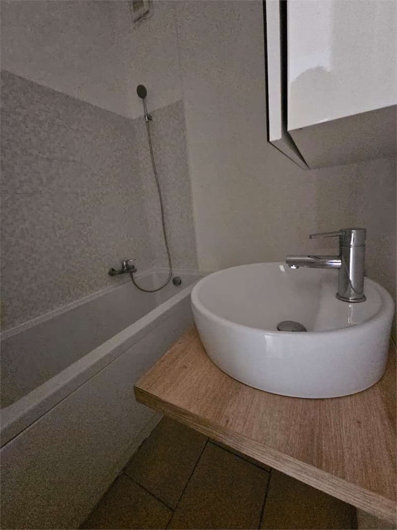 Lugano, schönes 2.5-Zimmer-Wohnung mit Balkon (12)