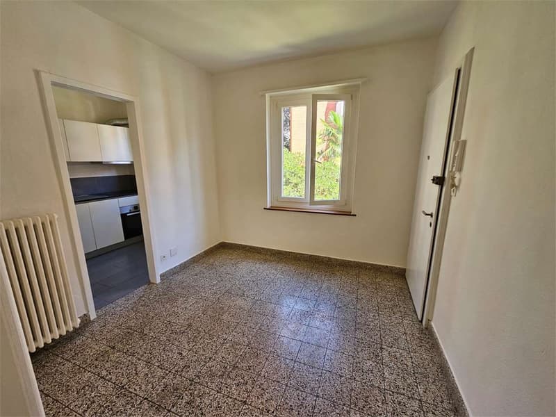 Lugano, schönes 2.5-Zimmer-Wohnung mit Balkon (7)