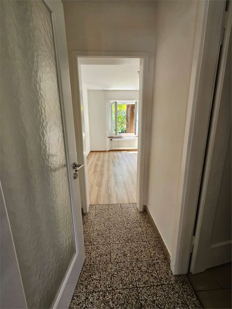 Lugano, schönes 2.5-Zimmer-Wohnung mit Balkon (10)