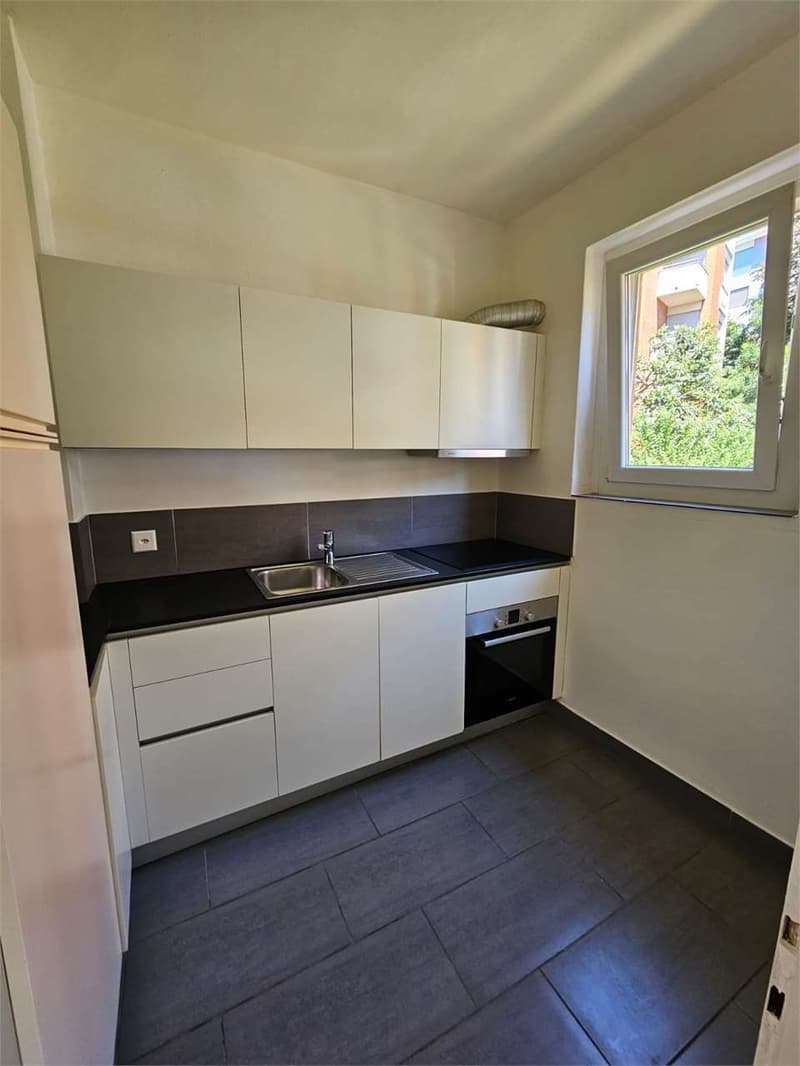 Lugano, schönes 2.5-Zimmer-Wohnung mit Balkon (9)