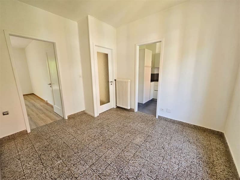 Lugano, schönes 2.5-Zimmer-Wohnung mit Balkon (8)