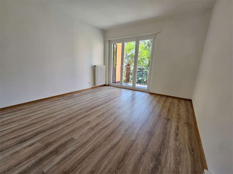 Lugano, schönes 2.5-Zimmer-Wohnung mit Balkon (3)