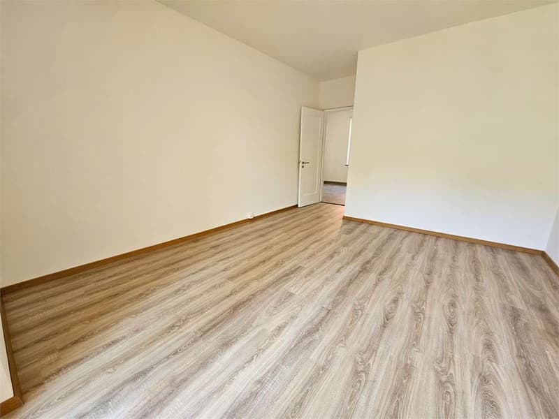 Lugano, schönes 2.5-Zimmer-Wohnung mit Balkon (6)