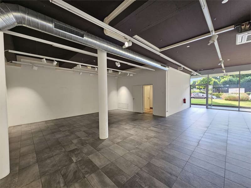 Negozio-spazio commerciale in affitto a Lugano (7)