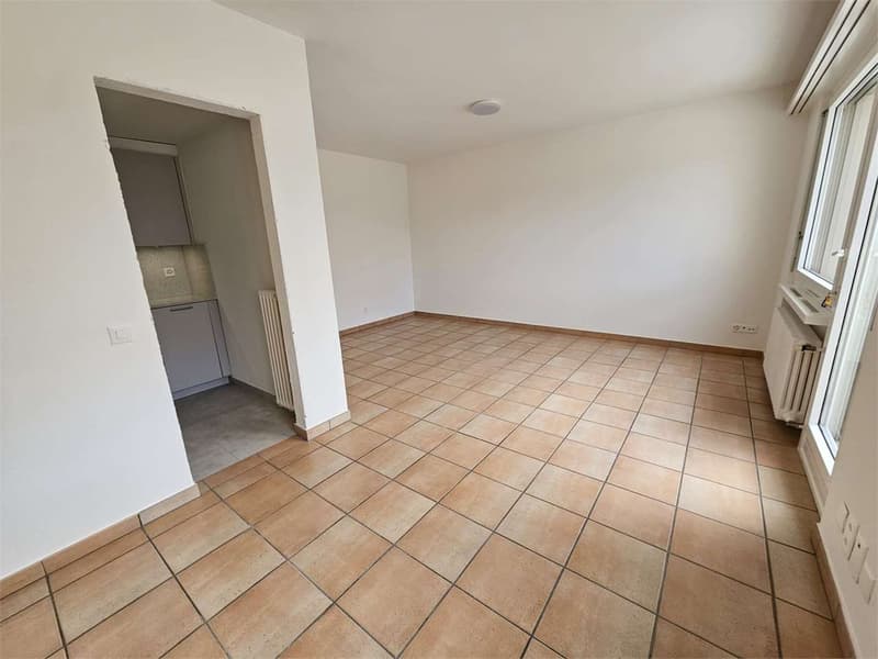 Castagnola, monolocale con terrazzo vista lago (5)
