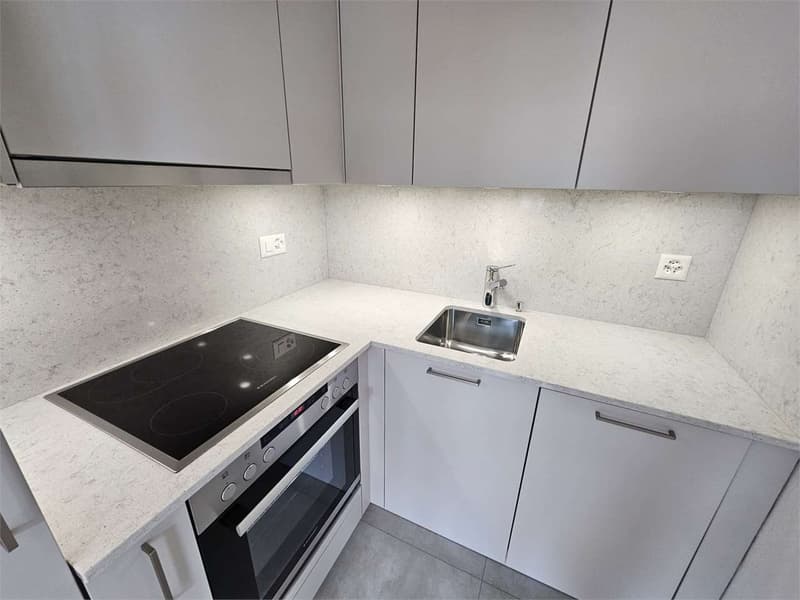 Castagnola, monolocale con terrazzo vista lago (7)