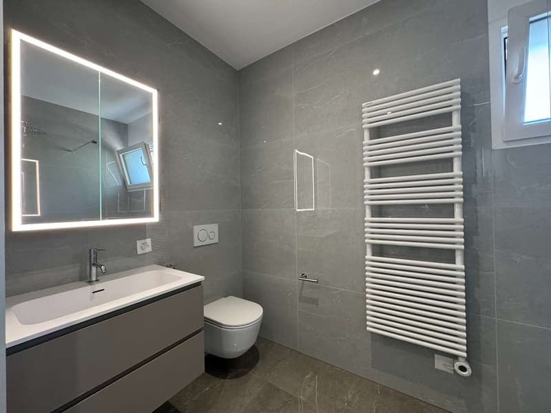 Moderne 2.5 Wohnung (8)