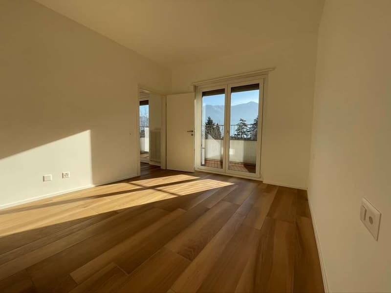 Lugano, affitto 2.5 locali (1)